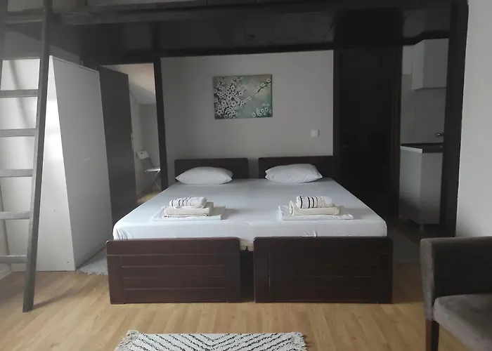 & Stojic 2* Novi Sad