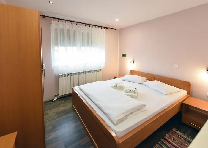 & Stojic 2* Novi Sad